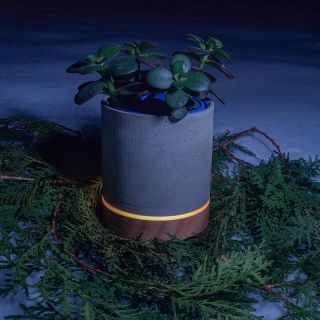 Sníh, všude sníh ❄️ Naštěstí naše květináčky vypadají dobře všude - i pod stromečkem 🎄 Co ty, už máš Vánoce vyřešené?...