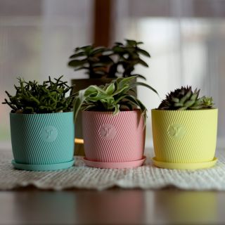 Přivítej jaro s našimi pastelovými květináči! 🌞 Jsou stylové, jsou šetrné k přírodě a jsou barevnéé 🤩 Co na ně říkáš?...