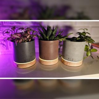 Před Vánoci jsme přišli s novými variantami 🤗 Jaká se ti líbí nejvíc? 🥰 #ynli #dekorace #inspirace #kvetinac #design #darek